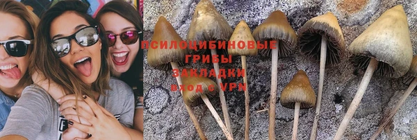 стаф Усмань