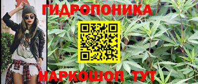 прущие грибы Донецк