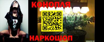 прущие грибы Донецк